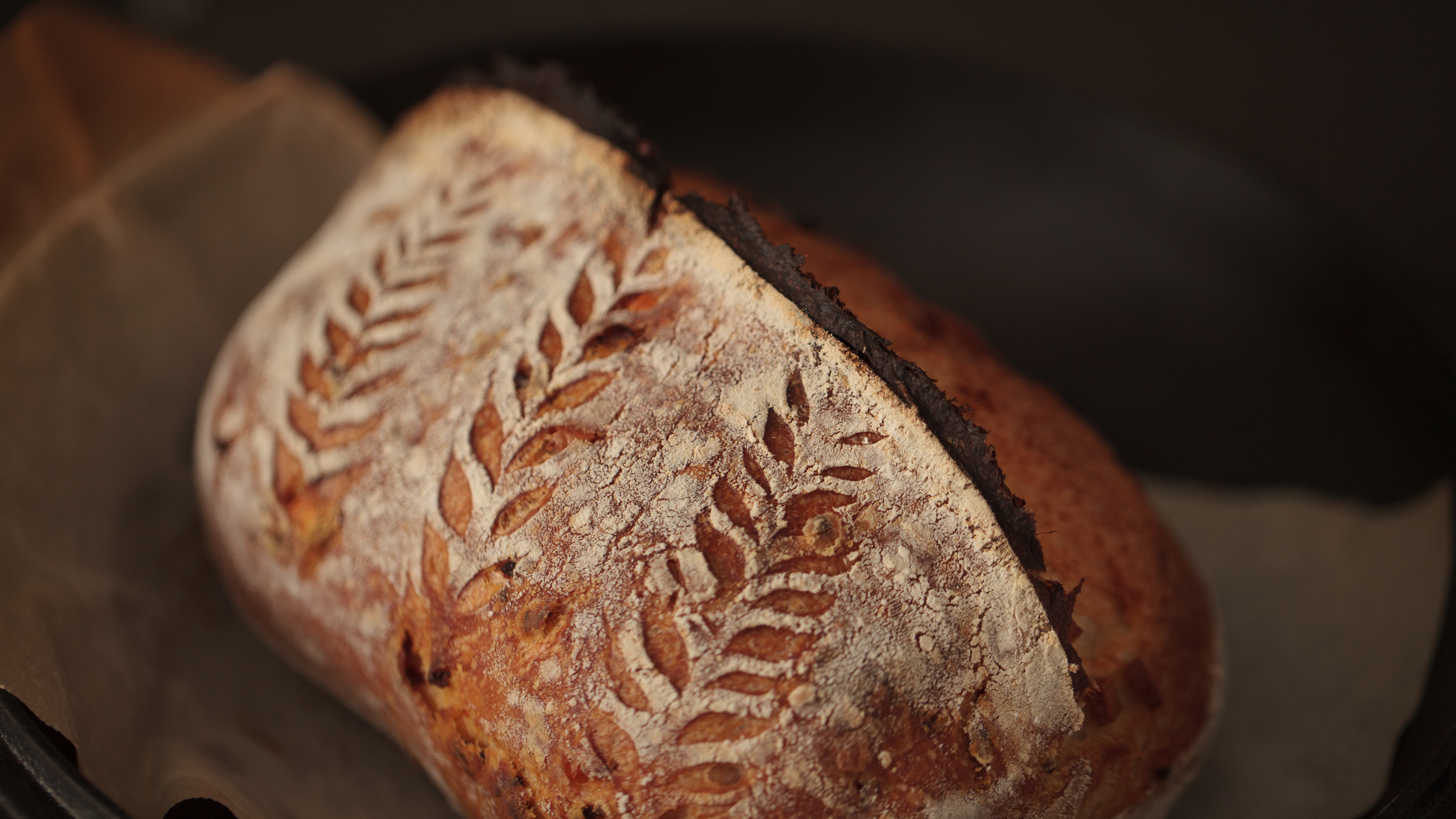 邪恶猴子和食物之歌